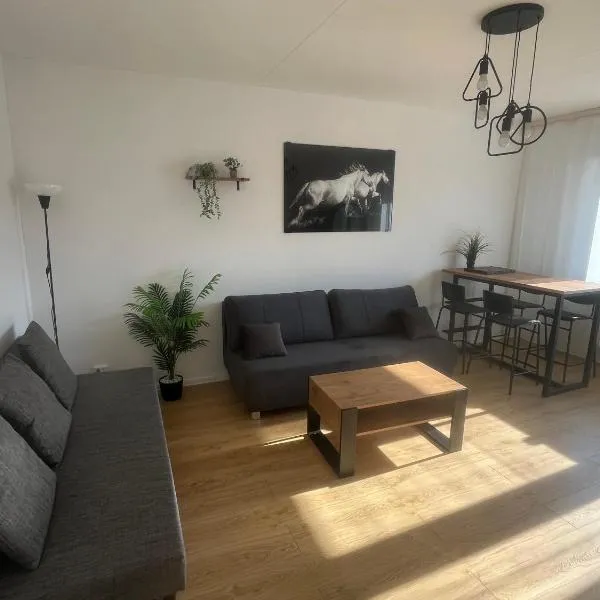 Apartament Nati, hotel in Cieszyn