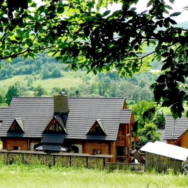 Приватна садиба Дикий Мед, hotel i Polyana