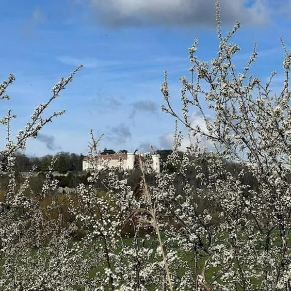 Maison Ray Sur Saône, Hotel in Gy