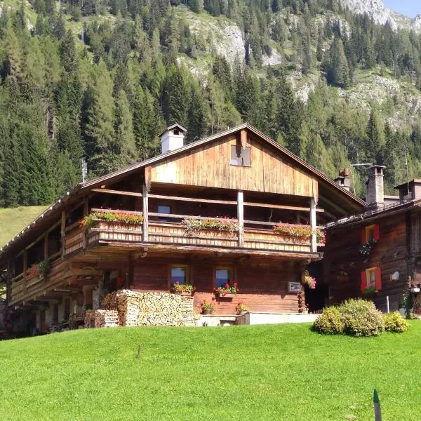 Chalet - Margherita, hotel em Ovaro