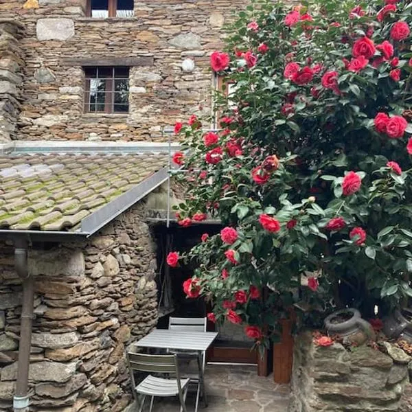 Come stay in our Little Nest, hotel v destinácii Brissago