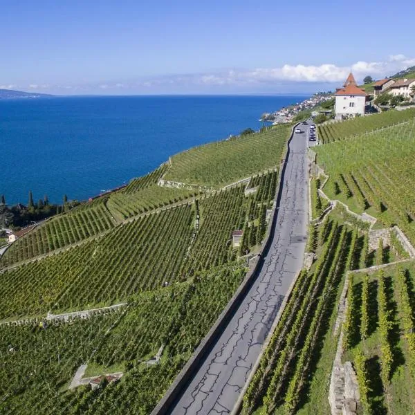 Domaine du Burignon, hotel in Montreux