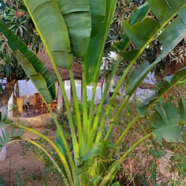 Le jardin de Adja, hotel di Saly Portudal