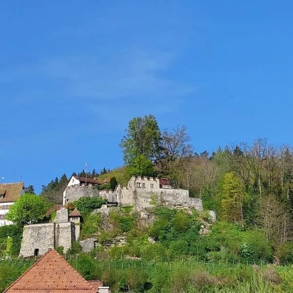 Zimmer-B&B Restaurant Wirtshaus zur Trostburg, hotel v destinaci Aarau