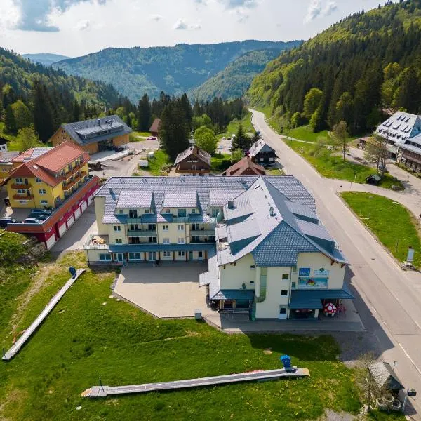 Apartment 207, hotel en Feldberg