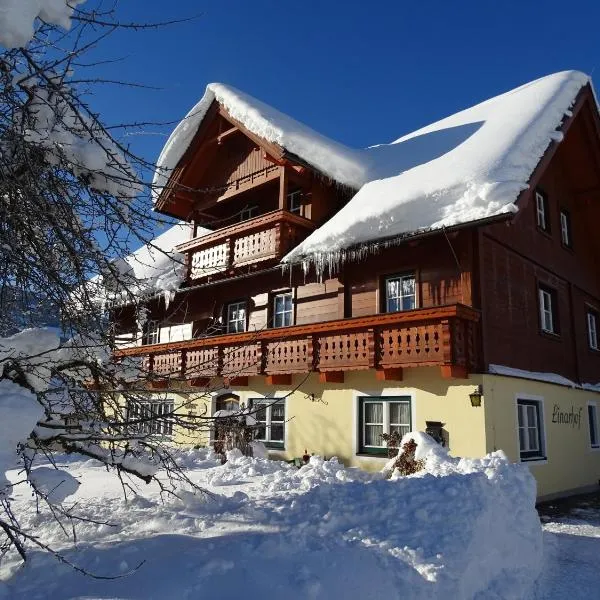 Linarhof Apartment Urlaub am Bio Bauernhof, готель у місті Гаус-ім-Енншталь