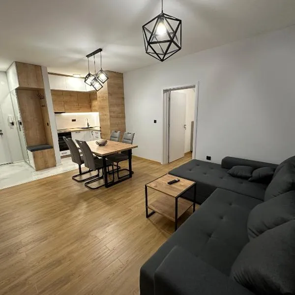 Apartment MAFILTA, готель у місті Veternik