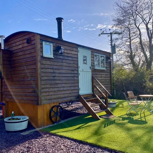 Shepherds Hut, Conwy Valley, hotel in Conwy