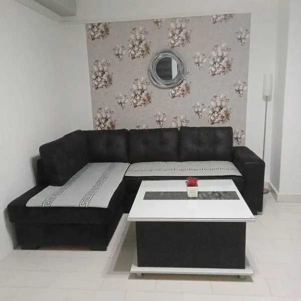 Apartman ZAFIROVI, hotel u Gevgeliji