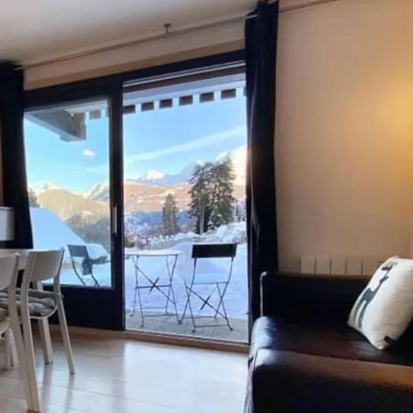 La marmotte: Vue Mont Blanc, terrasse, parking, hotel en Passy