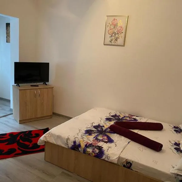 Apartament Costescu, hotel i Băile Herculane