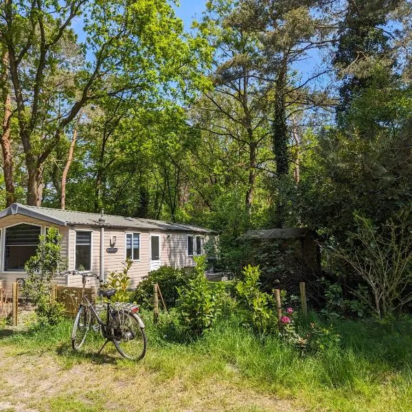 비딩허젠에 위치한 호텔 Ruim Chalet, midden in het bos!