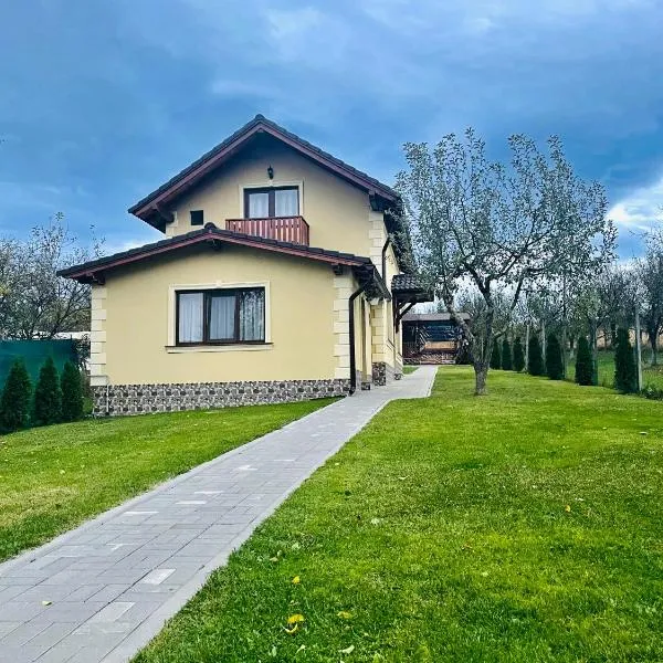 Casa de vacanță, Hotel in Păltiniş