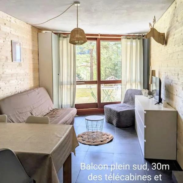 Studio 25m2, 4/6 pers, 30m des pistes, balcon sud, hotel em Villard-de-Lans