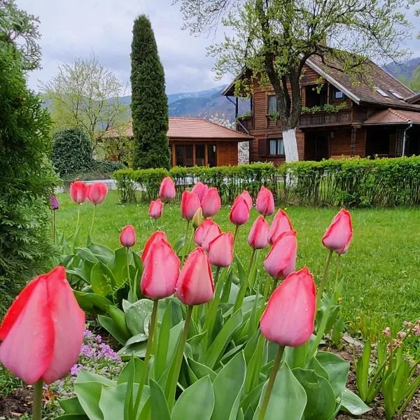 Casa Amalia Tocile -Sadu, Hotel in Păltiniş