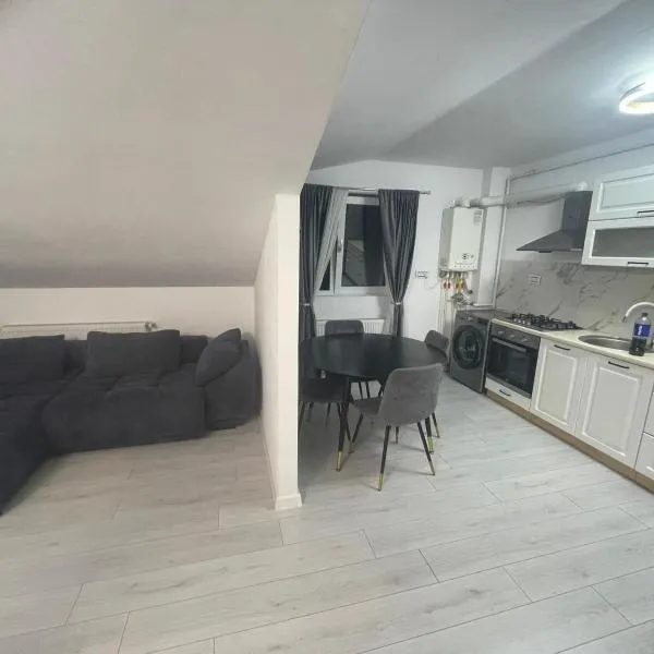 APARTAMENT 2 CAMERE TIRGU JIU, hotell i Târgu Jiu