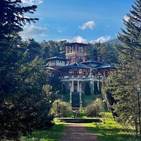 Dani's Cottage, ξενοδοχείο σε Borjomi