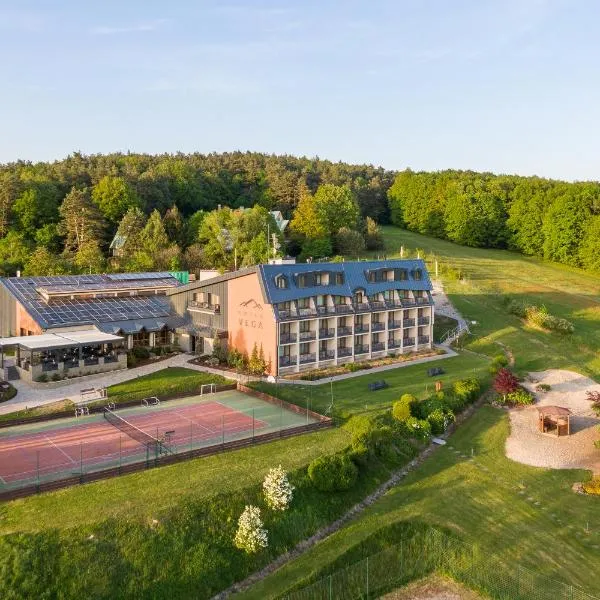 Hotel Vega Luhacovice, hotel u gradu 'Luhačovice'