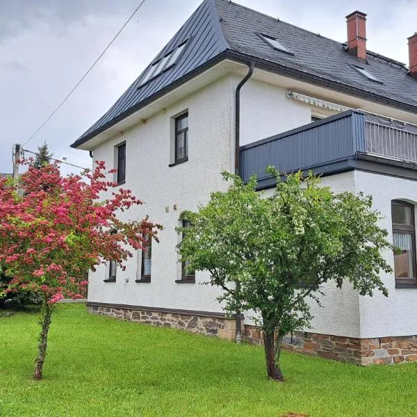 Ferienwohnungen Reiterhof Lienemann, hotel u gradu 'Bad Reiboldsgrün'