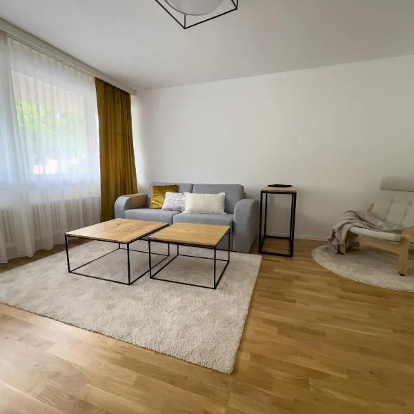 EXPO-Basel-CH Apt, Amazon Prime Video, WiFi, Coffee & Tee, Popcorn, Kitchen, hotel in Bazel