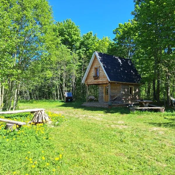 Salatse metsaonn, отель в городе Сагади