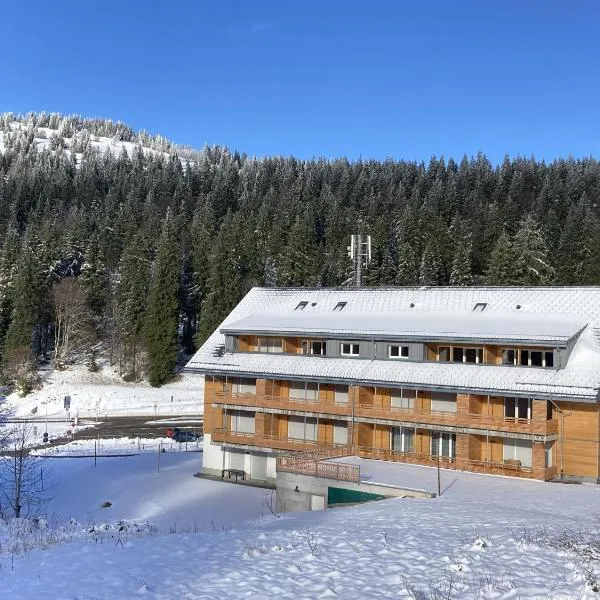 Haus Wiesenquelle, hotel u gradu Feldberg