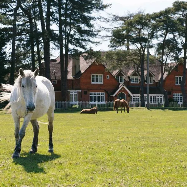 Beaulieu Hotel, ξενοδοχείο σε Lyndhurst