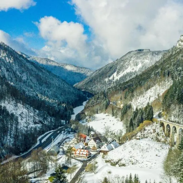 Hotel Hofgut Sternen: Hinterzarten şehrinde bir otel