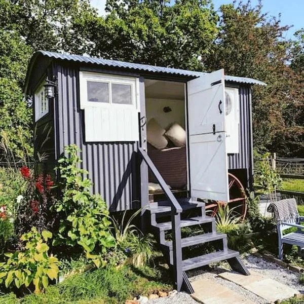 Shepherds hut with Alpaca views, hôtel à Emsworth