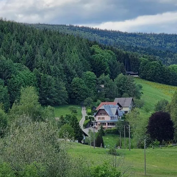 Auberge La Tête En L'Air, hotel di Selestat