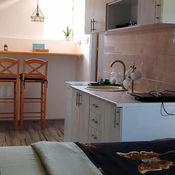 Apartman Boba Vrnjačka Banja, viešbutis mieste Kraljevas