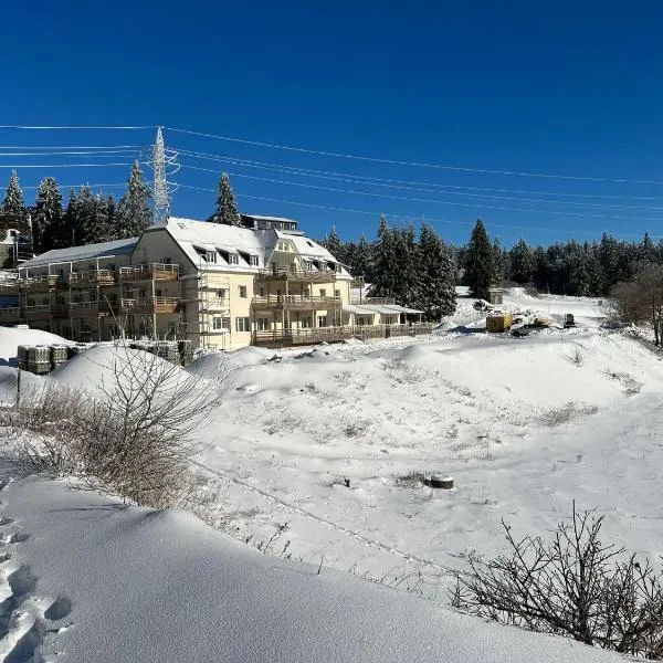 Appartement au pied des pistes avec grande terrasse, hotelli kohteessa Orbey