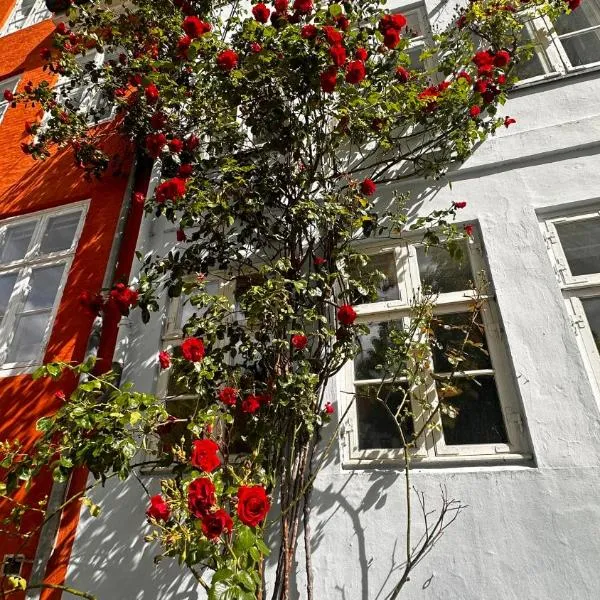 Beautiful Townhouse, hotel in Kopenhagen