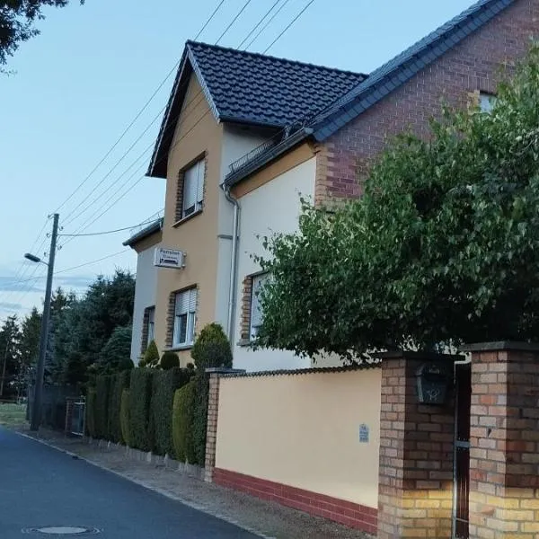 Pension Romann und Bauernferienhof, hotel v destinácii Torgau