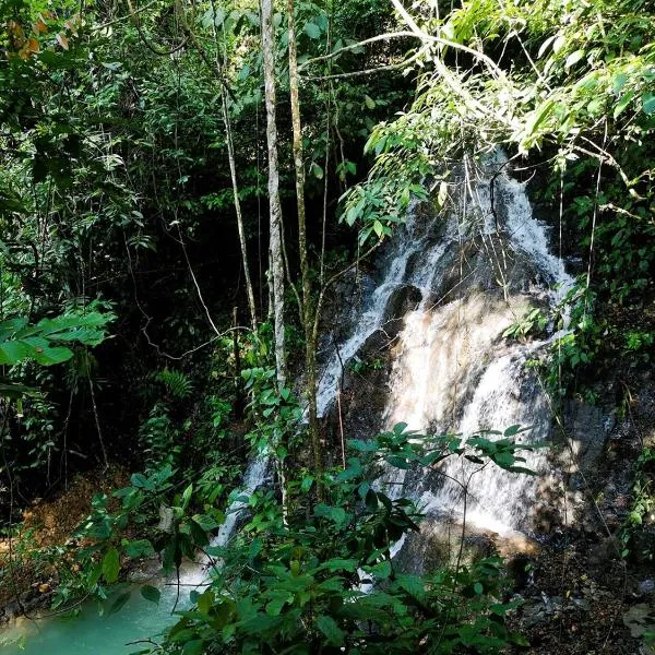 TheJungleGuide - Lodges & Treks, hotel en Bukit Lawang