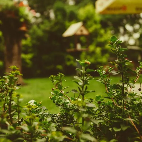 Mango Tree Villa, hotel u gradu 'Ernakulam'