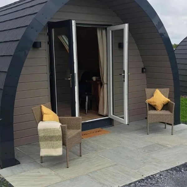 Leahys Pod Park, hotel di Cork