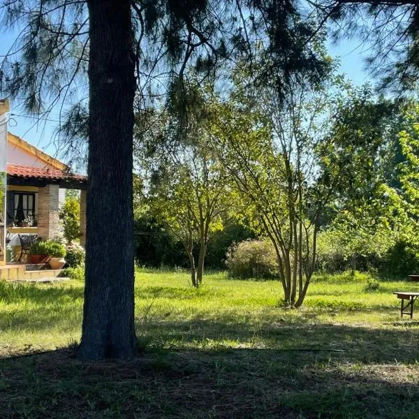 Quinta dos Trevos - Artes e Ofícios, hotell i Castelo Branco