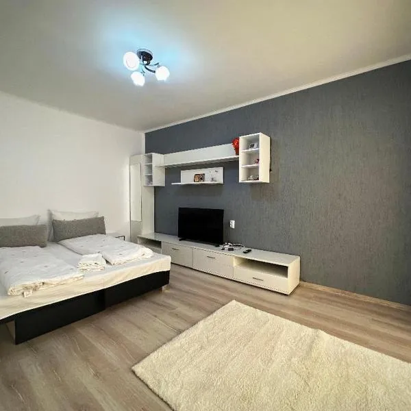 Apartament Dya HATEG 9, готель у місті Хацег