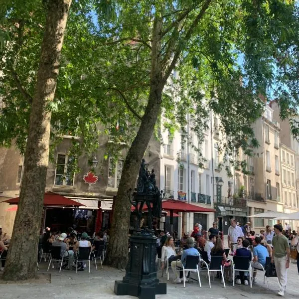 Hôtel Saint-Patrick, hotel em Nantes