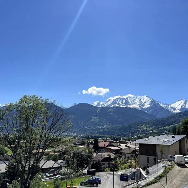 Location de ski au pied du MontBlanc, hotel en Passy