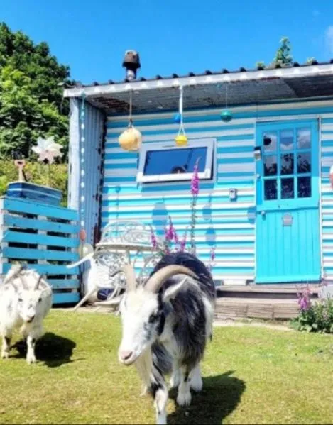 Treguth Glamping Unique Experience - Themed Huts, hotel em Camborne