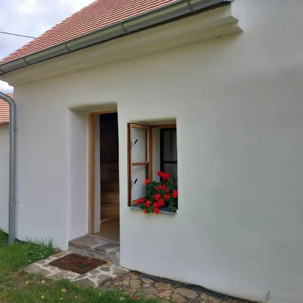 apartmán U dědy Lubina, hotel in Vyškov