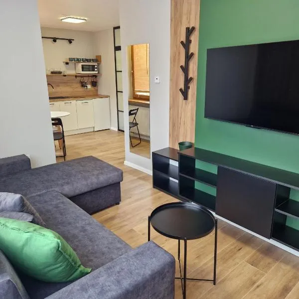 Apartamenty-Dom Pod Sosną, hótel í Gniezno