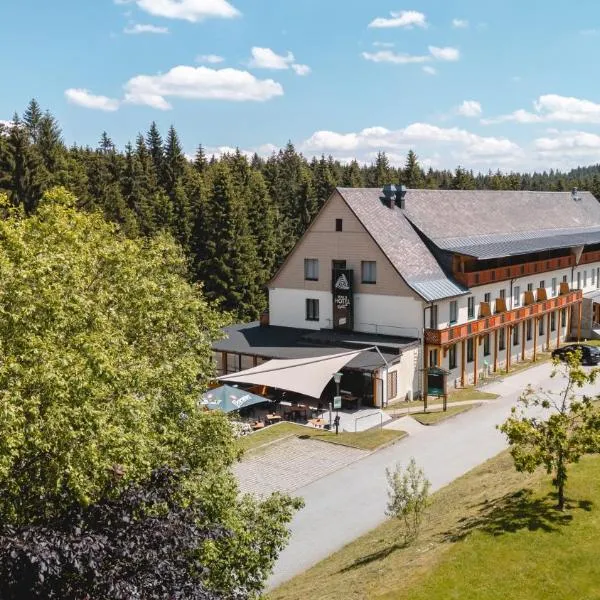 Waldhotel Vogtland, hotel a Klingenthal