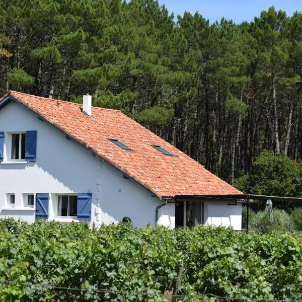 Escapade idéale maison spacieuse entre nature et sérénité, hotel u gradu 'Léon'