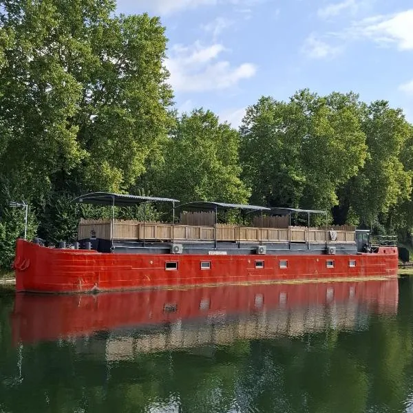 La péniche de Fabrice avec Jacuzzi privatif、ストラスブールのホテル