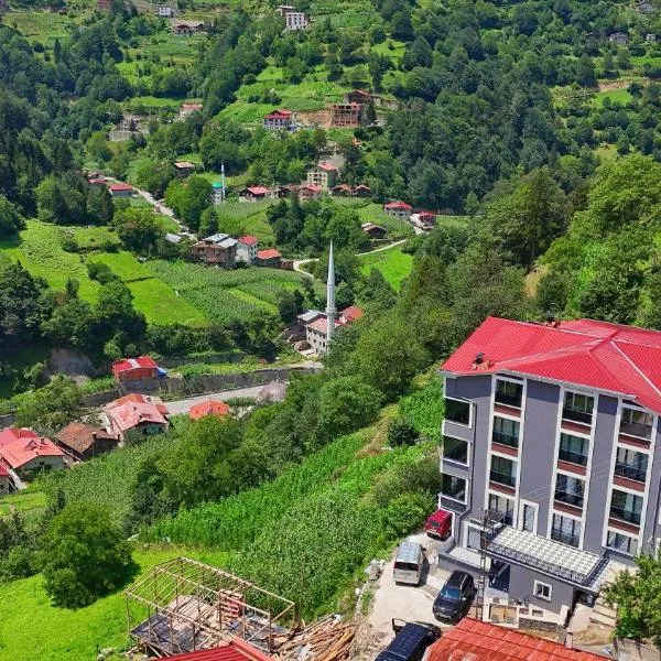 Sinor Apart Otel, hotel u gradu Uzungol