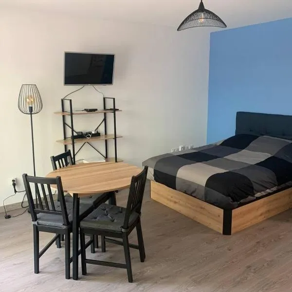 APPARTEMENT T1 proche aéroport, готель у місті Сен-Жак-де-ла-Ланд