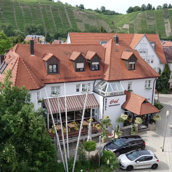 Hotel Ortel GmbH, готель у місті Безіґайм